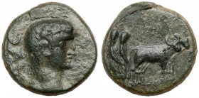 Tyberiusz (14-37 n.e.) AE 18, Macedonia, Philippi
