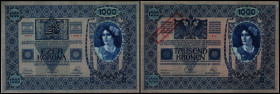 1000 Kronen 1902, Richter-199, K&K-158b(Udr-rosa). I/II