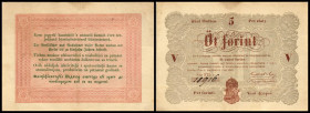 Finanzministerium. 5 Forint 1848, D. braun, Ser.Bst. mit Doppelpunkt, Ri-408b1 (P-S116b) I. II/III
