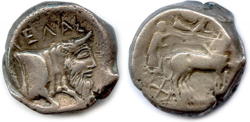 SICILE - GÉLA 466-413
Protomé de taureau androcéphale nageant. 
Devant, branche ...