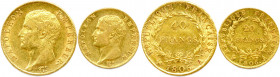 NAPOLÉON Ier 1804-1814
DEUX monnaies en or (19,22 g les 2) : 
40 Francs et 20 Francs 1806 Paris. 
Très beaux.