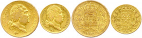 LOUIS XVIII Second gouvernement royal 
8 juillet 1815 - 16 septembre 1824
DEUX monnaies en or (19,20 g les 2) :
40 Francs 1818 Lille et 20 Francs 1818...