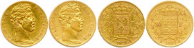 CHARLES X 1824-1830
DEUX monnaies en or (12,78 g les 2) : 
20 Francs 1828 Paris. 
T.B.