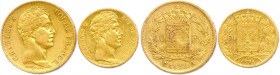 CHARLES X 1824-1830
DEUX monnaies en or (19,21 g les 2) : 
40 Francs or 1830 Paris et 20 Francs 1825 Paris. 
T.B.
