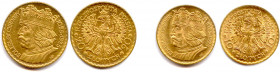 POLOGNE République 
DEUX monnaies en or (9,74 g les 2) : 
20 Zlotych, 
10 Zlotych 1925 Varsovie.
Fr 115 et 116
Superbes. 
900e anniversaire du couronn...