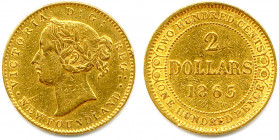 TERRE NEUVE Île de - Newfoundland 
VICTORIA 1837-1901
2 Dollars or 1865 Londres. (3,33 g) 
Fr 1
Traces de monture. T.B.