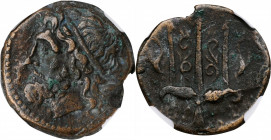 Hieron II, 275-215 B.C

SICILY. Syracuse. Hieron II, 275-215 B.C. AE Litra, 263-218 B.C. NGC Ch VF.

HGC-2, 1550. Obverse: Head of Poseidon left, ...