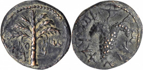 Bar Kochba Revolt, A.D. 132-135

JUDAEA. Bar Kochba Revolt, 132-135 C.E. AE 19mm, Undated issue, attributed to year 3 (134/5 C.E.). ANACS EF 40.

...