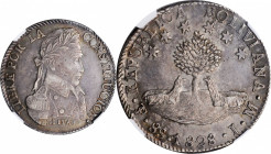 BOLIVIA

BOLIVIA. 8 Soles, 1828-PTS JM. Potosi Mint. NGC AU-55.

KM-97. The second year in this popular series, the present specimen offers a deli...