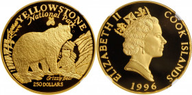 COOK ISLANDS

COOK ISLANDS. 250 Dollars, 1996. NGC PROOF-69 Ultra Cameo.

Fr-B10; KM-296. Mintage: 1,000. Yellowstone National Park: Grizzly Bear....