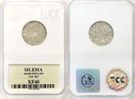 Related to Poland, Silesia, Pomerania, Prussia 
POLSKA / POLAND / POLEN / SCHLESIEN / POMMERN / PreuC�en / COURLAND / OELS

Silesia, KsiD�stwo Cies...