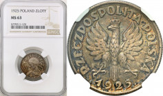 Poland II Republic
POLSKA / POLAND / POLEN / POLOGNE / POLSKO

II RP. 1 zloty 1925, Londyn, kropka po dacie NGC MS63 - VERY NICE 

Menniczy egzem...