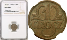 Poland II Republic
POLSKA / POLAND / POLEN / POLOGNE / POLSKO

II RP. 1 grosz (groschen) 1928 NGC MS64 BN 

PiD�kna brD�zowo-niebieska patyna, in...