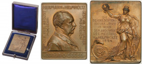 Germany
Germany, Plaque 1894, at the 66th congregation of German naturalists and doctors, bronze 

Plakieta z portretem Hermanna Helmholtza (1821-1...
