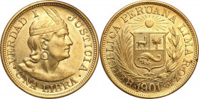 Peru
Peru. 1 libra 1901, Lima 

Sporo poE�ysk w tle. E�adnie zachowane.KM 207 

Details: 7,97 g Au 
Condition: 2/2+ (EF/EF+)