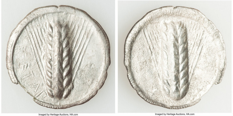 LUCANIA. Metapontum. Ca. 540-510 BC. AR stater (29mm, 6.84 gm, 12h). Choice Fine...