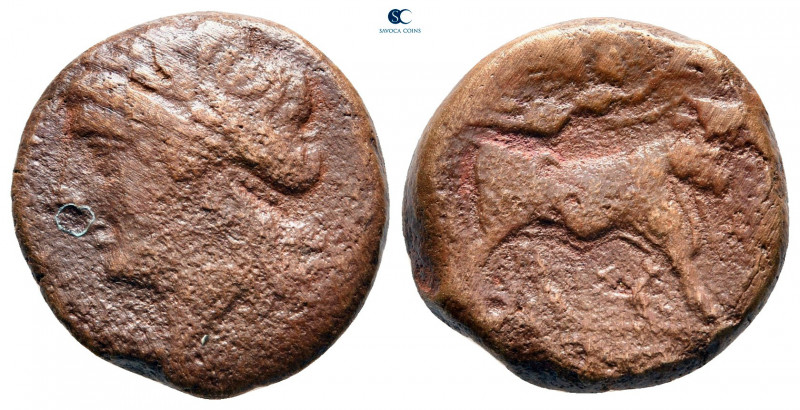 Campania. Neapolis circa 270-240 BC. 
Bronze Æ

17 mm, 5,91 g



fine