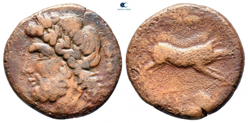 Apulia. Arpi circa 300-200 BC. 
Bronze Æ

18 mm, 5,59 g



nearly very fi...