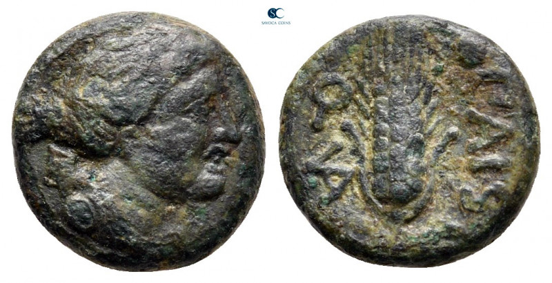Lucania. Paestum circa 218-201 BC. 
Bronze Æ

10 mm, 1,68 g



very fine