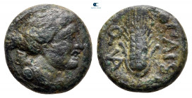 Lucania. Paestum circa 218-201 BC. Bronze Æ