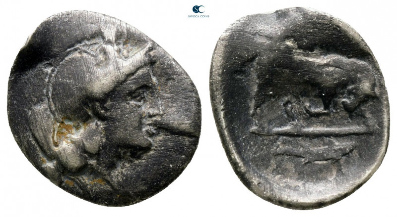 Lucania. Thourioi circa 443-400 BC. 
Triobol AR

12 mm, 0,76 g



fine