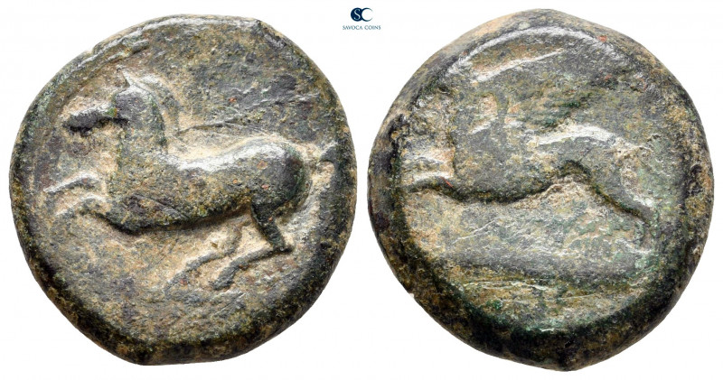 Sicily. Kainon circa 360-340 BC. 
Bronze Æ

20 mm, 8,61 g



very fine
