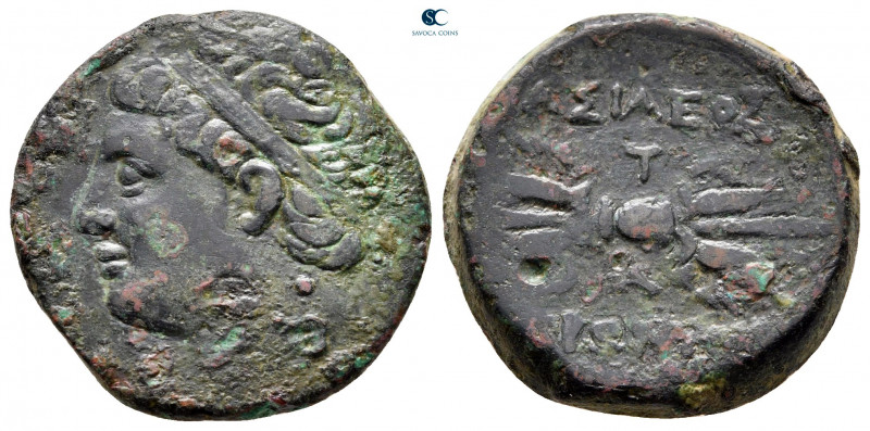 Sicily. Syracuse. Hieronymos 215-214 BC. 
Bronze Æ

21 mm, 7,94 g



near...