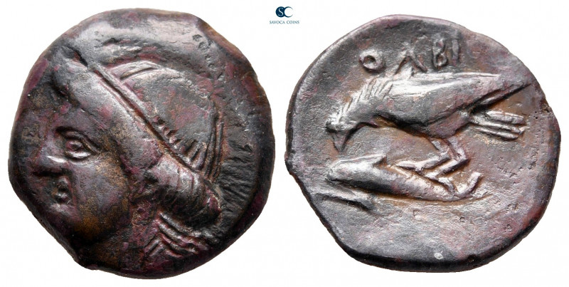 Scythia. Olbia circa 400-300 BC. 
Bronze Æ

18 mm, 3,75 g



very fine