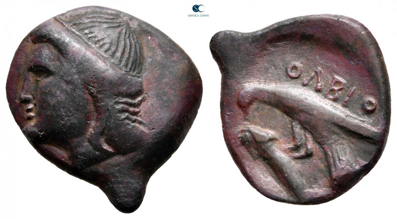 Scythia. Olbia circa 350-300 BC. 
Bronze Æ

20 mm, 3,00 g



very fine