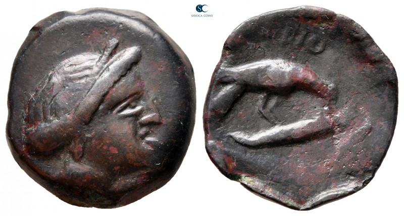 Scythia. Olbia circa 350-300 BC. 
Bronze Æ

20 mm, 4,27 g



very fine