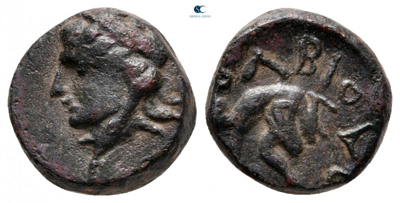 Scythia. Olbia circa 300-200 BC. 
Bronze Æ

12 mm, 2,38 g



very fine