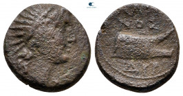 Illyria. Dyrrhachion circa 200-0 BC. Bronze Æ