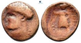 Kings of Illyria. Ballaios 217-182 BC. Bronze Æ
