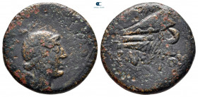Kings of Bosporos. Asander 47-43 BC. Tetrachalkon Æ