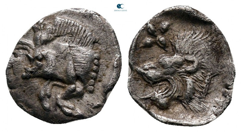 Mysia. Kyzikos circa 480-450 BC. 
Hemiobol AR

10 mm, 0,39 g



very fine