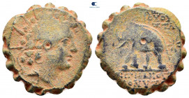 Seleukid Kingdom. Antioch on the Orontes. Antiochos VI Dionysos 144-142 BC. Serrate Æ