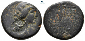 Seleucis and Pieria. Apameia circa 100-0 BC. c/m: bust of Tyche. Bronze Æ