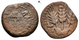 Judaea. Jerusalem. Agrippa I CE 37-43. Prutah Æ