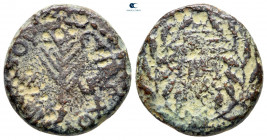 Judaea. Tiberias. Herodians. Herod III Antipas 4 BCE-CE 39. From the Tareq Hani collection. Half Unit Æ