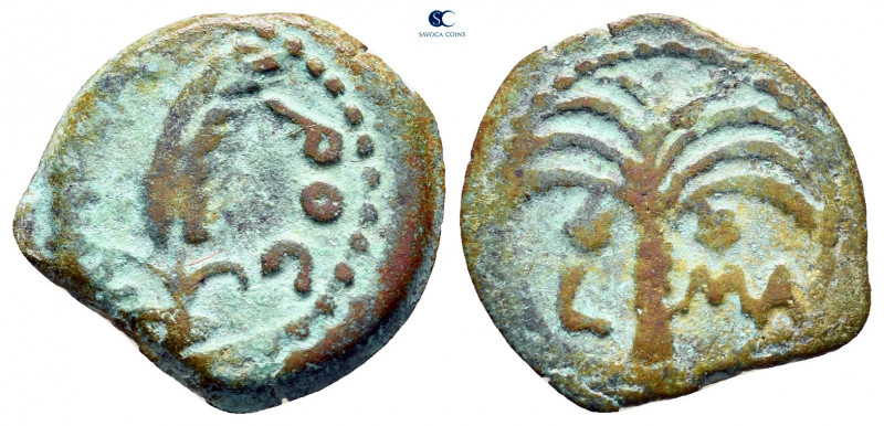 Judaea. Jerusalem. Marcus Ambibulus, under Augustus CE 9-12. From the Tareq Hani...