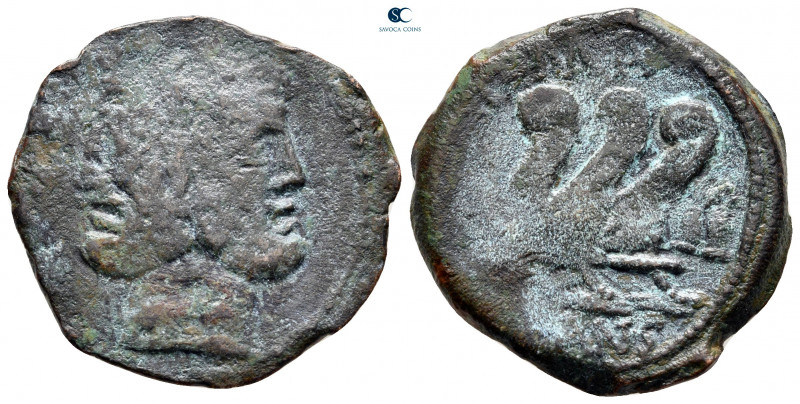 C. Vibius C.f. Pansa 90 BC. Rome
As Æ

24 mm, 8,32 g



very fine