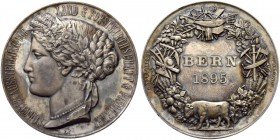 SCHWEIZ. BERN. Medaillen. Silbermedaille 1895. Schweizerische Ausstellung für Landwirtschaft, Forstwirtschaft & Fischerei. Im Originaletui. 51.47 g. S...