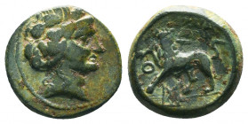 LYDIA. Sardes. 2nd to 1st centuries BC. AE. Head of Dionysos to right, wearing wreath of ivy and fruit. Rev. ΣAPΔI/ANΩN Lion walkin left, head facing,...