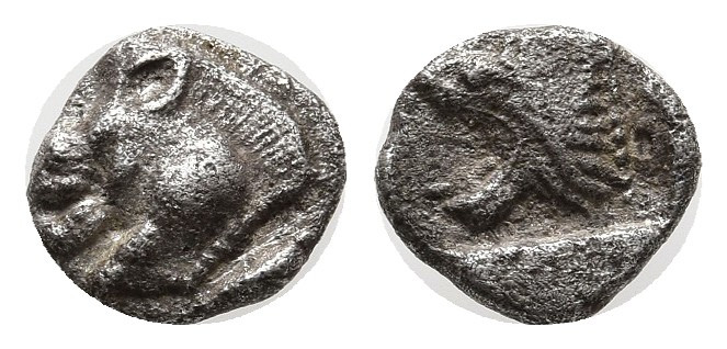 Mysia, Kyzikos. AR Hemiobol (8-10 mm, 0.36 g), c. 525-475 BC.
Obv. Forepart of b...