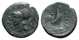 Northern Campania, Cales, c. 265-240 BC. Æ (20mm, 5.49g, 9h). Helmeted head of Athena l. R/ Cock standing r.; star to l. Sambon 916; HNItaly 435; SNG ...