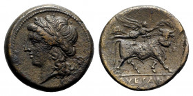 Northern Campania, Campania, Suessa Aurunca, c. 265-240 BC. Æ (21mm, 6.27g, 6h). Laureate head of Apollo l.; O behind. R/ Man-headed bull standing r.;...