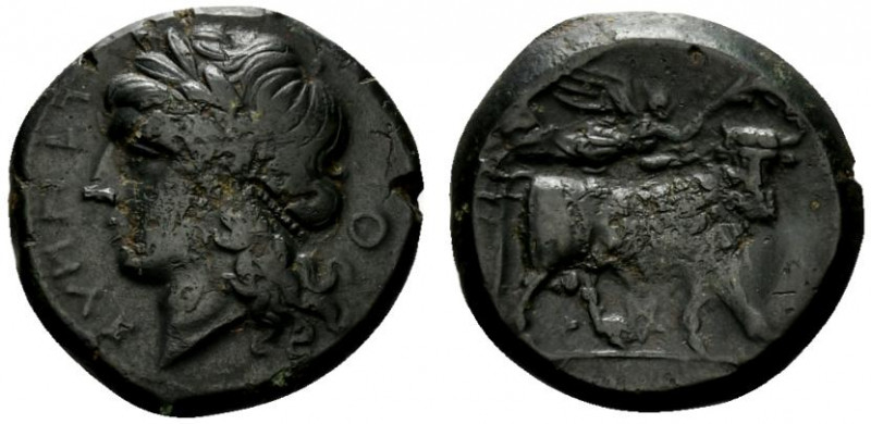 Campania, Teanum Sidicinum, c. 265-240 BC. Æ (17mm, 5.80g, 6h). Laureate head of...