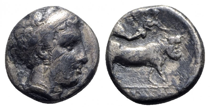 Southern Campania, Neapolis, c. 320-300 BC. AR Didrachm (19mm, 7.13g, 6h). Head ...