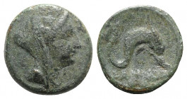 Eastern Italy, Larinum, c. 210-175 BC. Æ Binux (18mm, 5.13g, 6h). Veiled and wreathed head of female (Thetis?) r. R/ Dolphin r.; two pellets in exergu...
