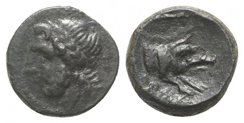 Northern Apulia, Arpi, c. 325-275 BC. Æ (14mm, 3.41g, 6h). Laureate head of Zeus...